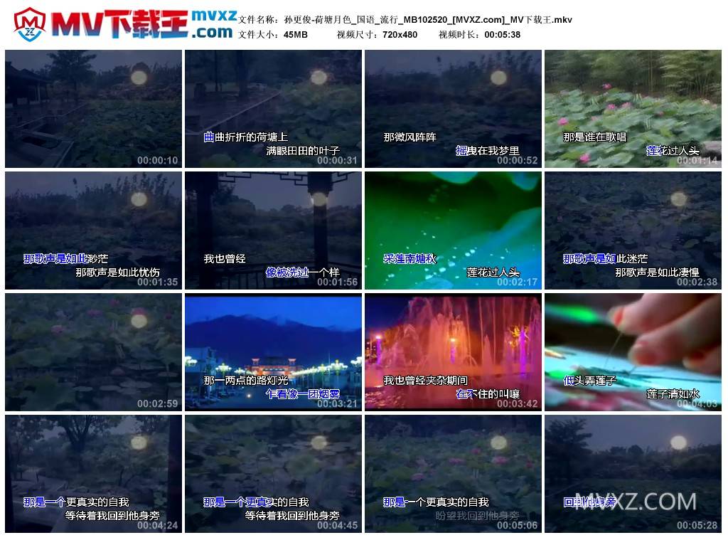 孙更俊-荷塘月色_国语_流行_MB102520
